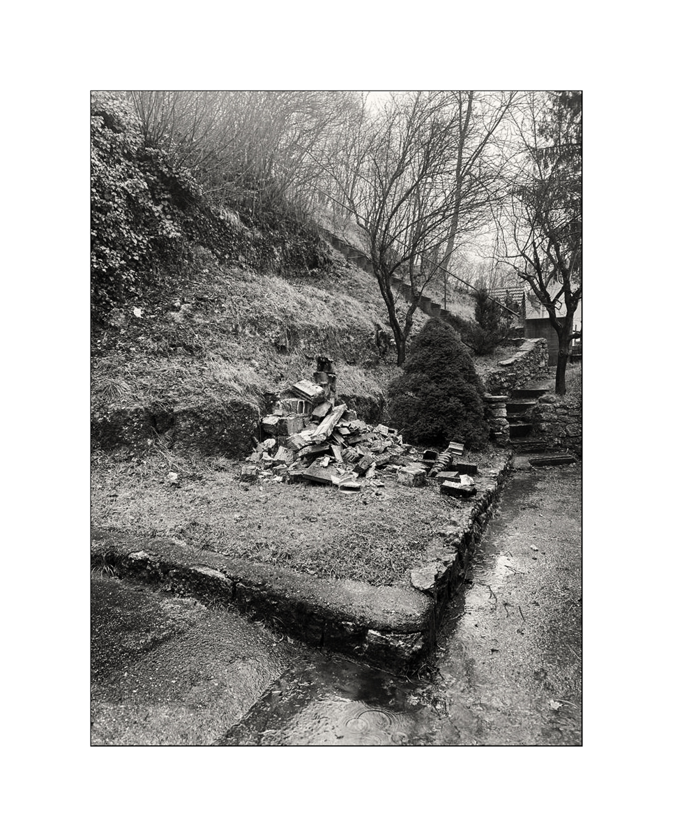 SasaPHOTO-2021-01-30-18-49-22.jpg