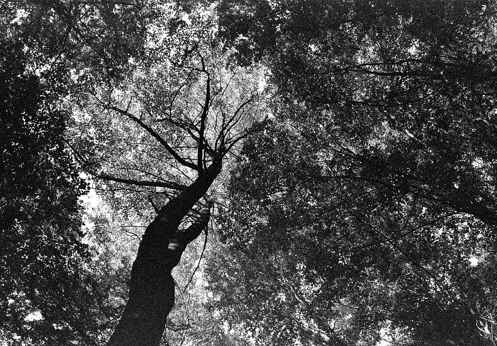 Scan 111112 0037