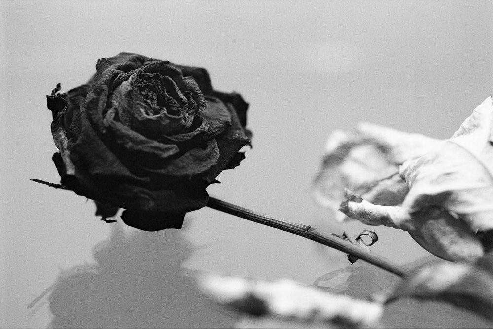 Scan Schwarz 0033