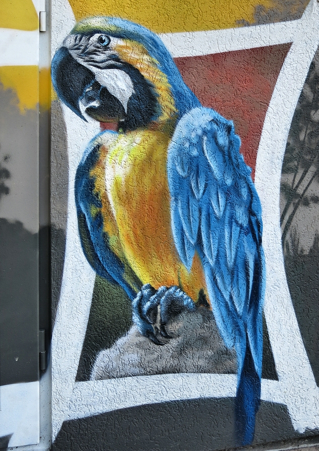 Schön bunt 1.jpg