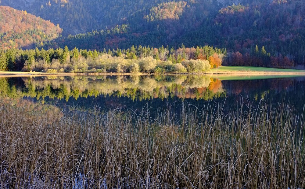 Schönau 291011 459