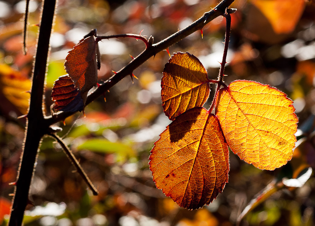 schöne Farben