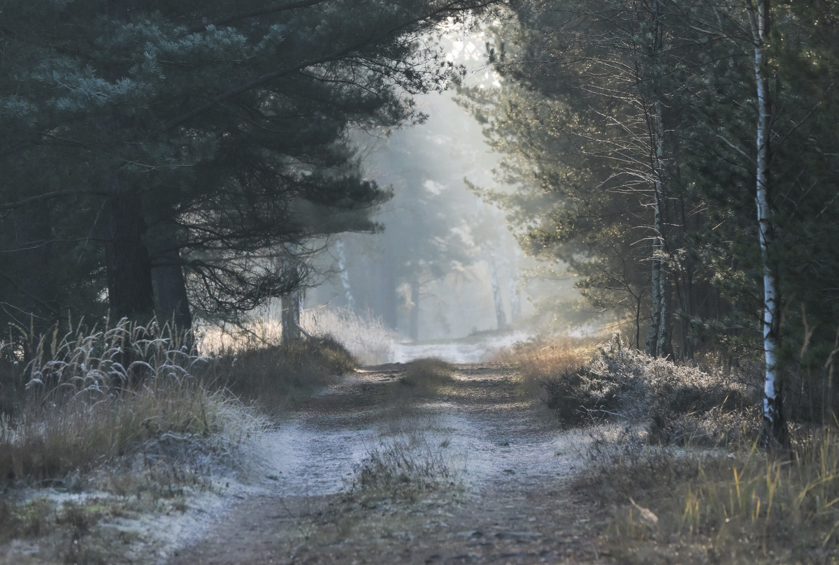 Schöne stille Wege.jpg