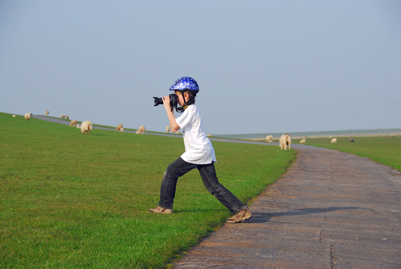 Schafsfotograf