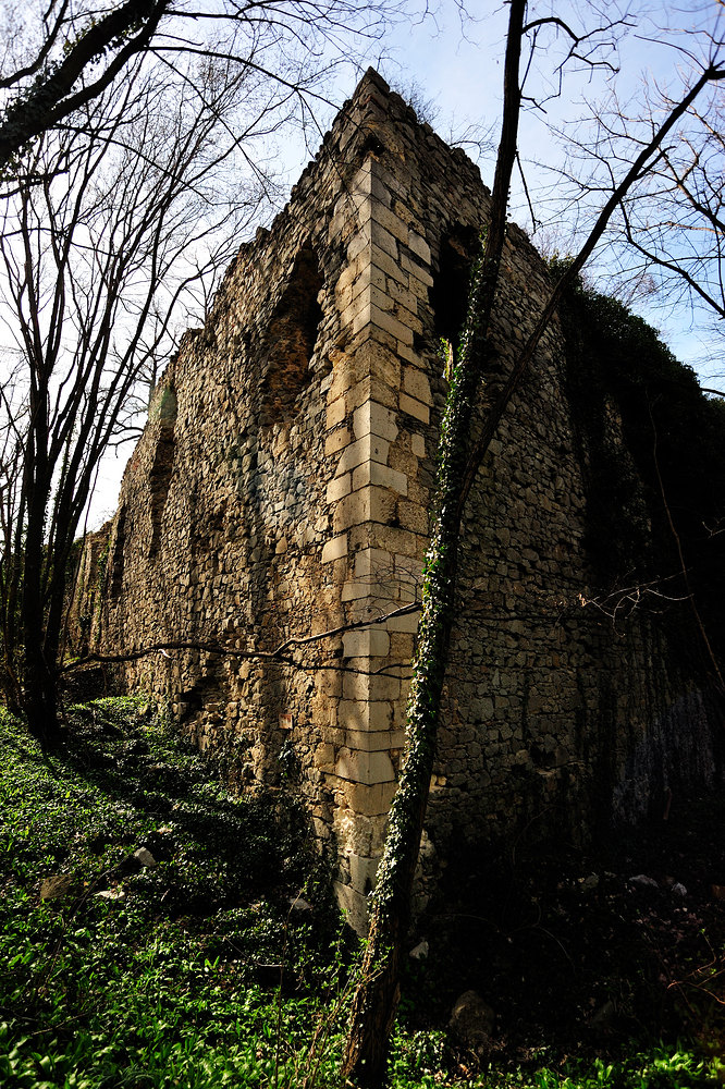 scharfeneck