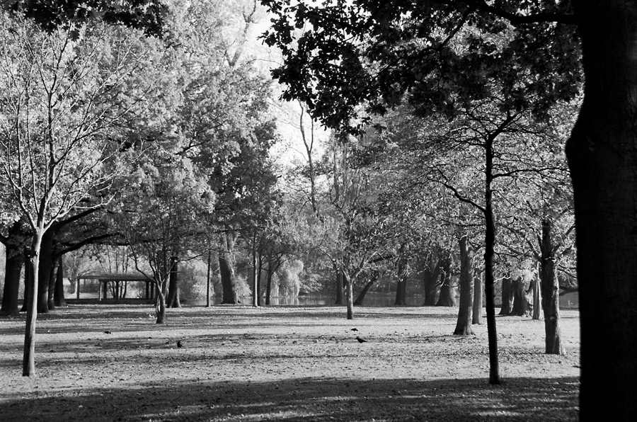 Schatten scan014neu900
