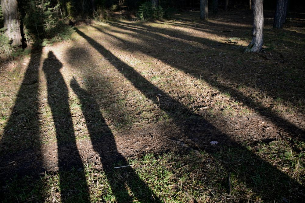schatten