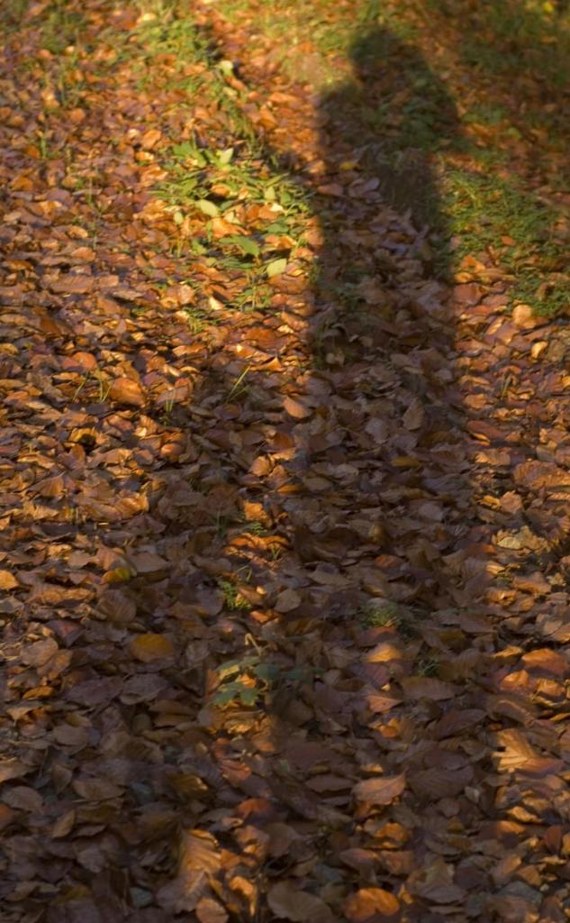 Schattenspiel