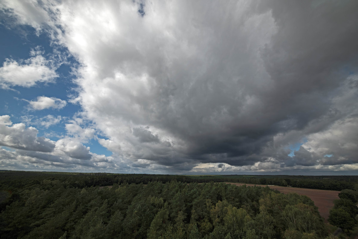 Schauerwolken über der Südostheide.jpg