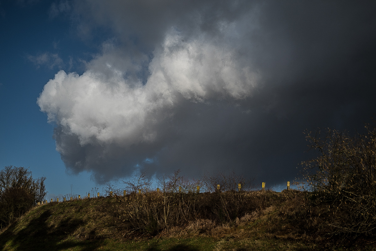 Schauerwolken (1 von 1).jpg