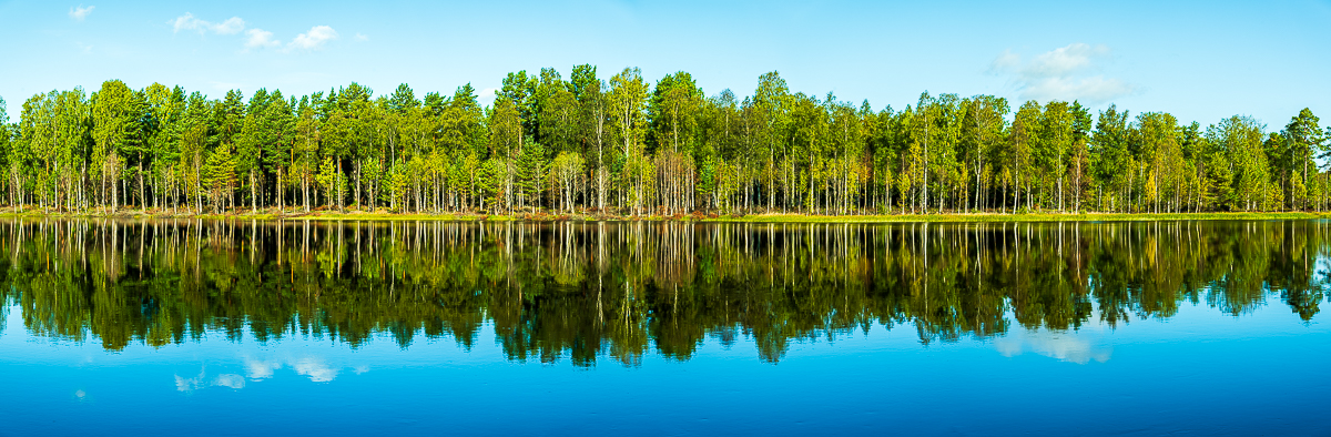 Scheden-Norwegen 2024-2864-Pano.jpg