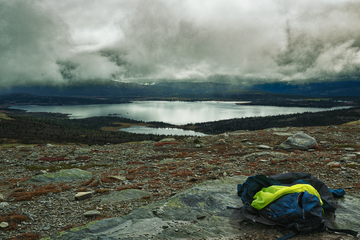Scheden-Norwegen 2024-3684-Bearbeitet.jpg