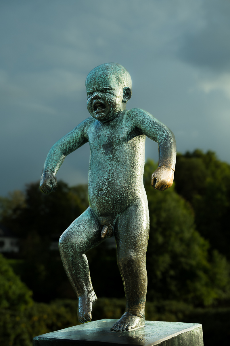 Scheden-Norwegen 2024-3831.jpg