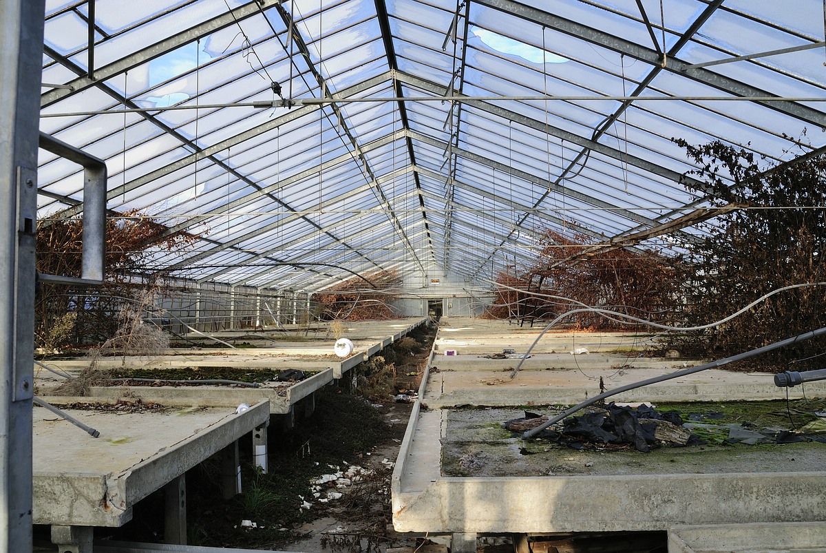 Scherpenseel Gärtnerei (11)