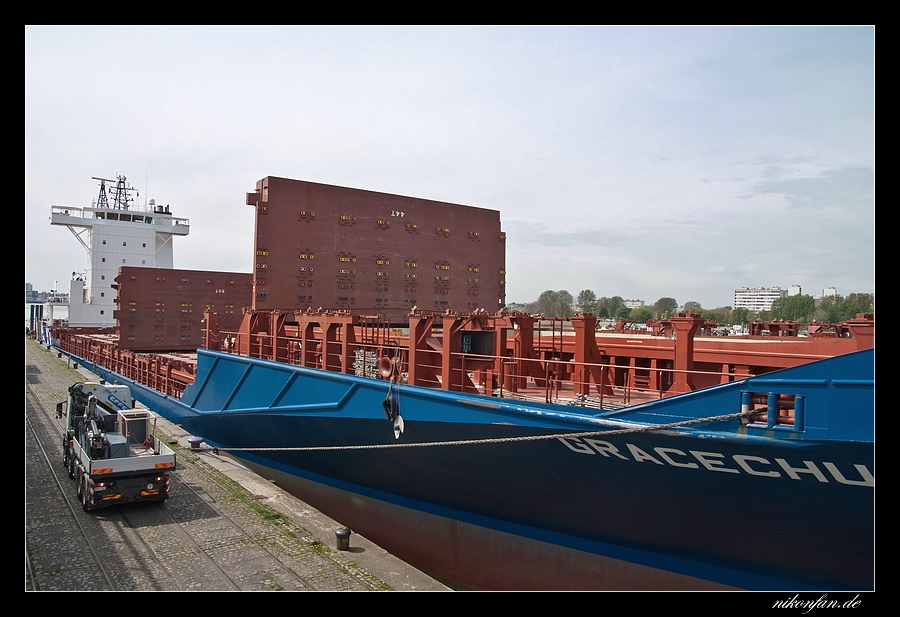 Schiff ASD