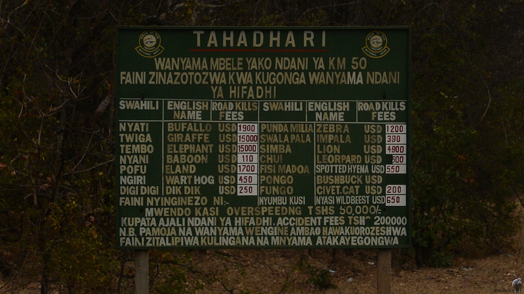 Schild an der Strasse durch den Mikumi Nationalpark.
Auf dem Schild stehen die Strafen für das Überfahren der jeweiligen Tiergattung.

s1405 Mikumi Sc