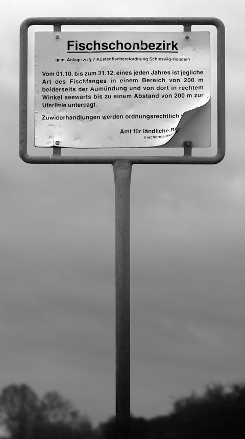 Schild Angler