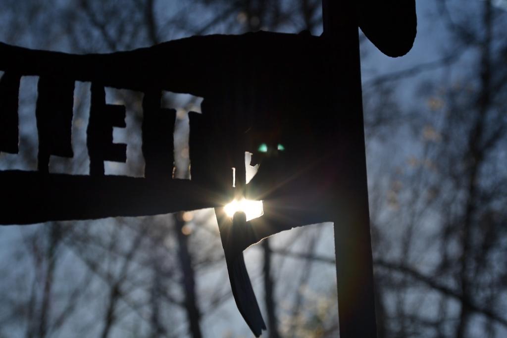 Schild