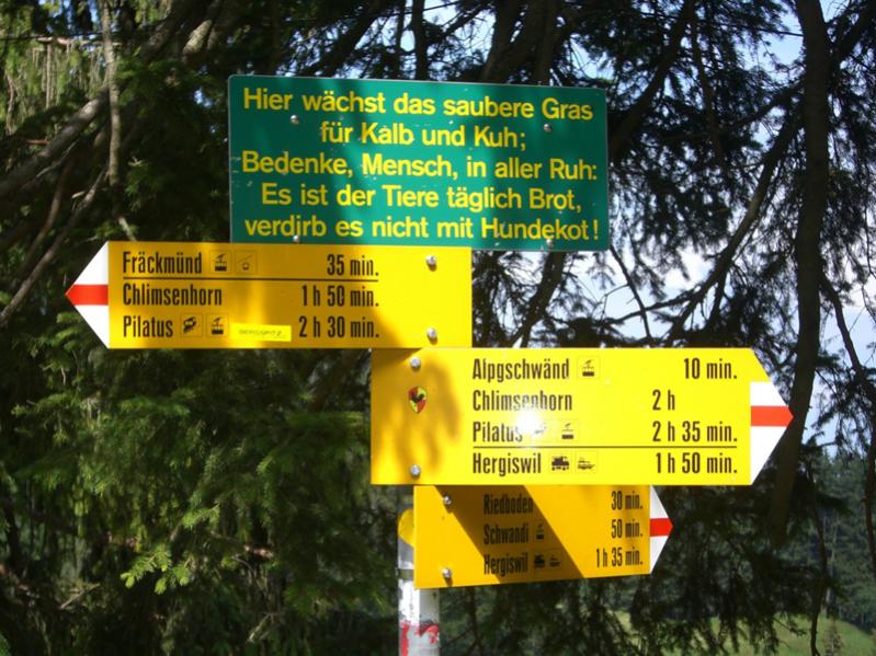 Schild