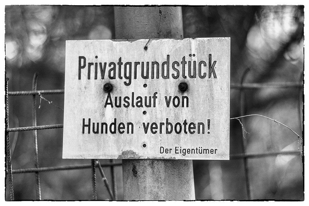 Schild