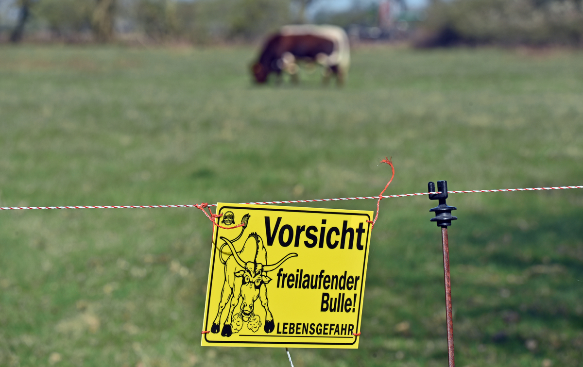 schild_bulle.jpg