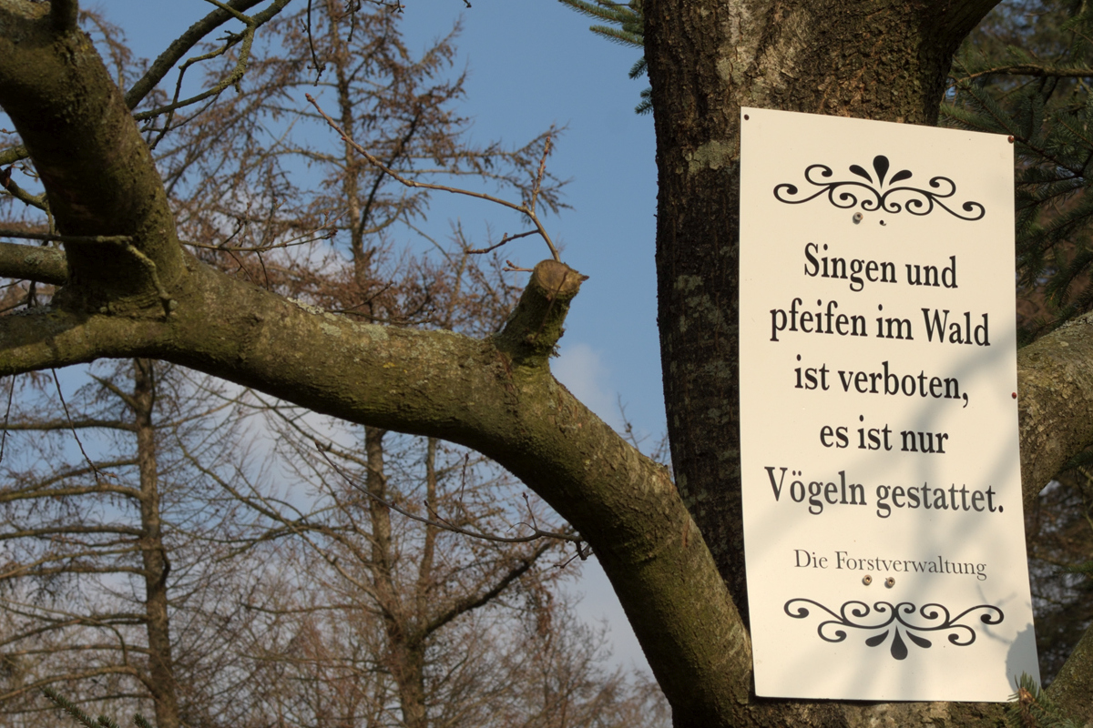 Schild_wald.jpg