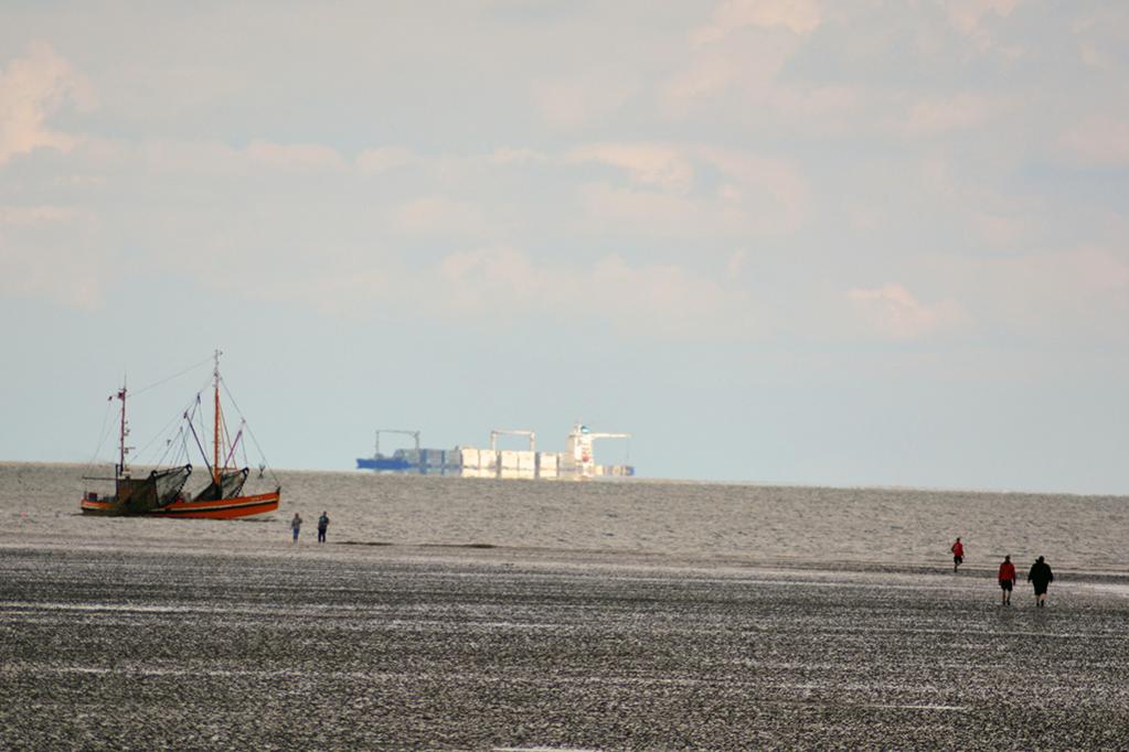 Schillig bei Ebbe
