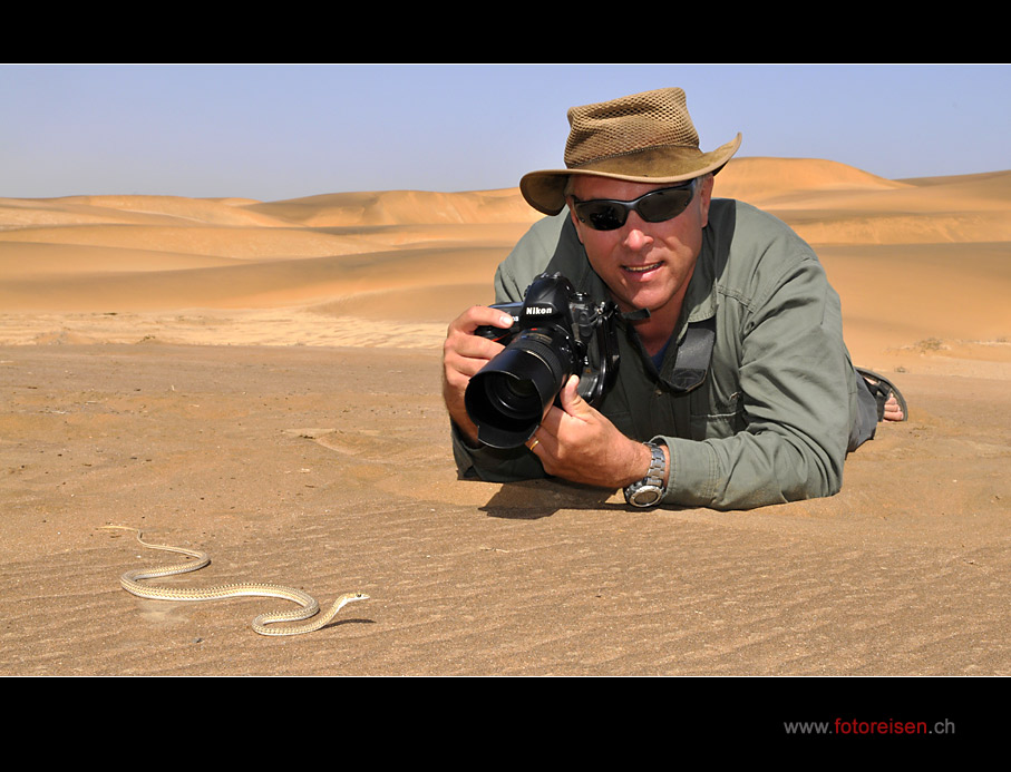 Schlange fotografieren