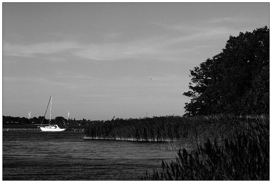 schlei