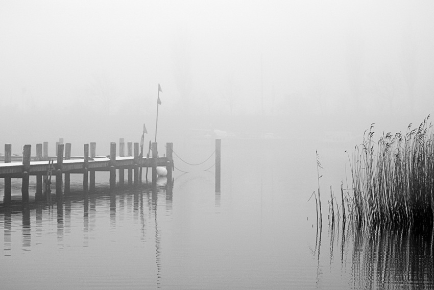 schlei2 b