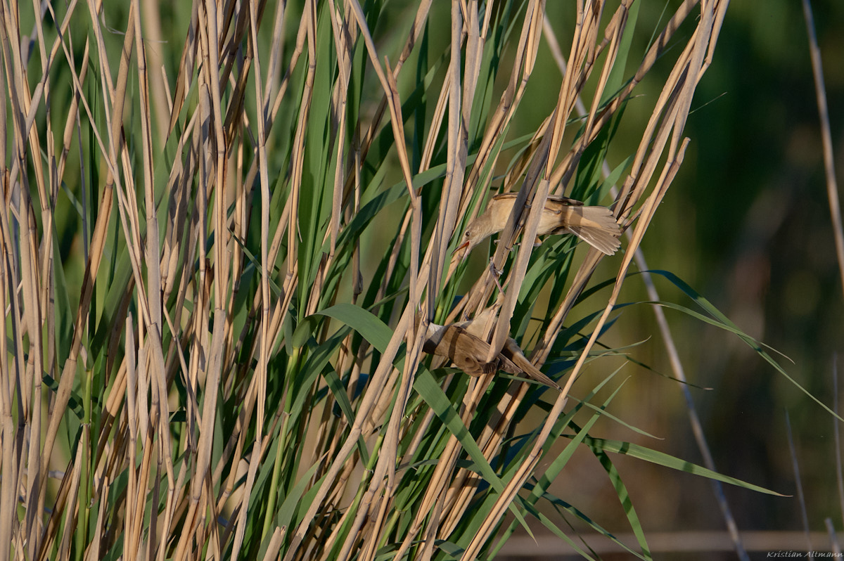 Schleienloch-Mai 28 2021-1908.jpg