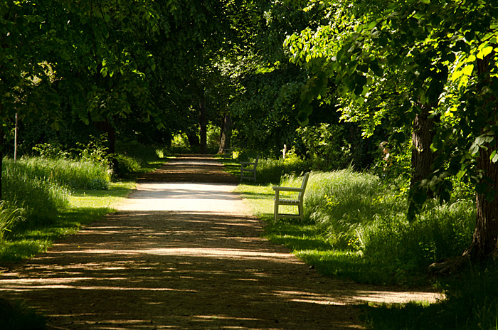 Schloßpark Natur 2012 05 20 45
