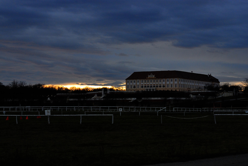 schloss hof noch einmal
