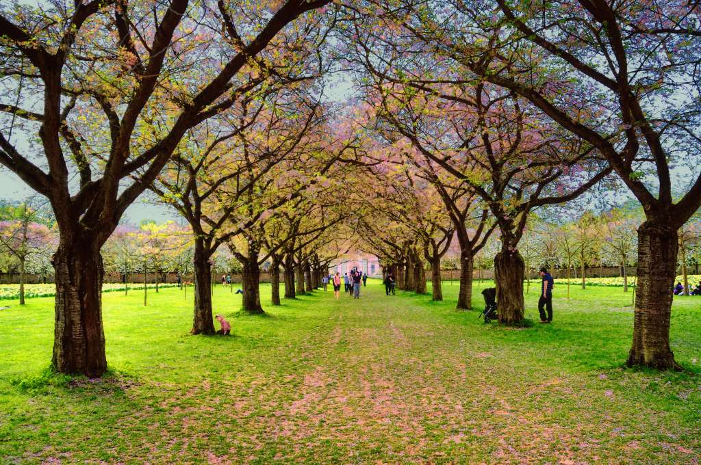 schlossgarten schwetzingen 3b