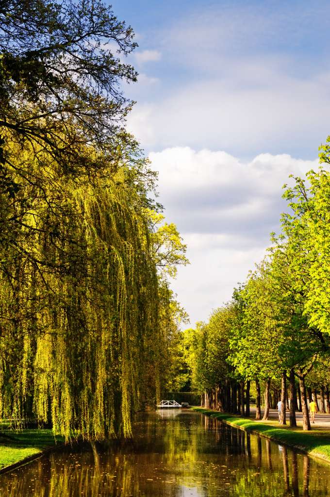 schlossgarten schwetzingen