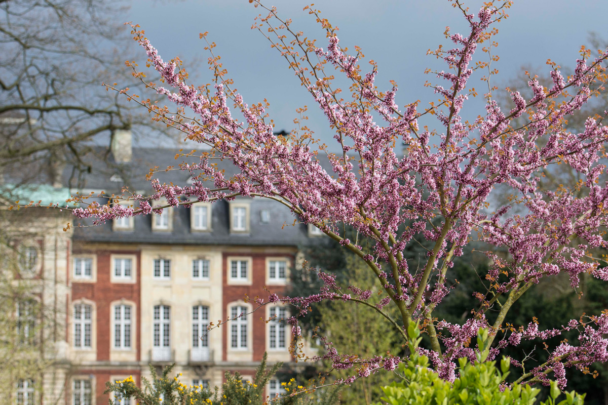 Schlosspark-0.jpg