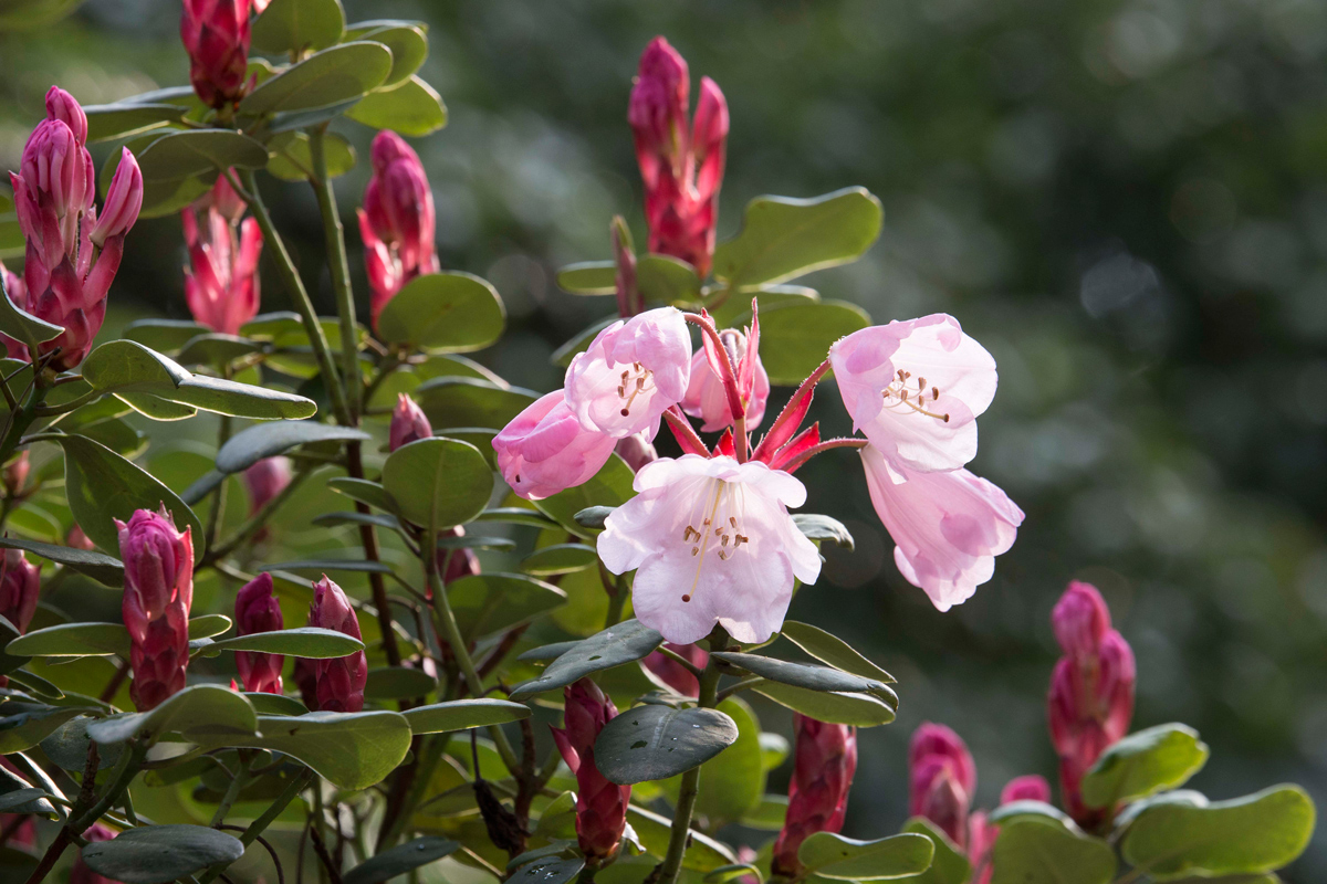 Schlosspark-125.jpg