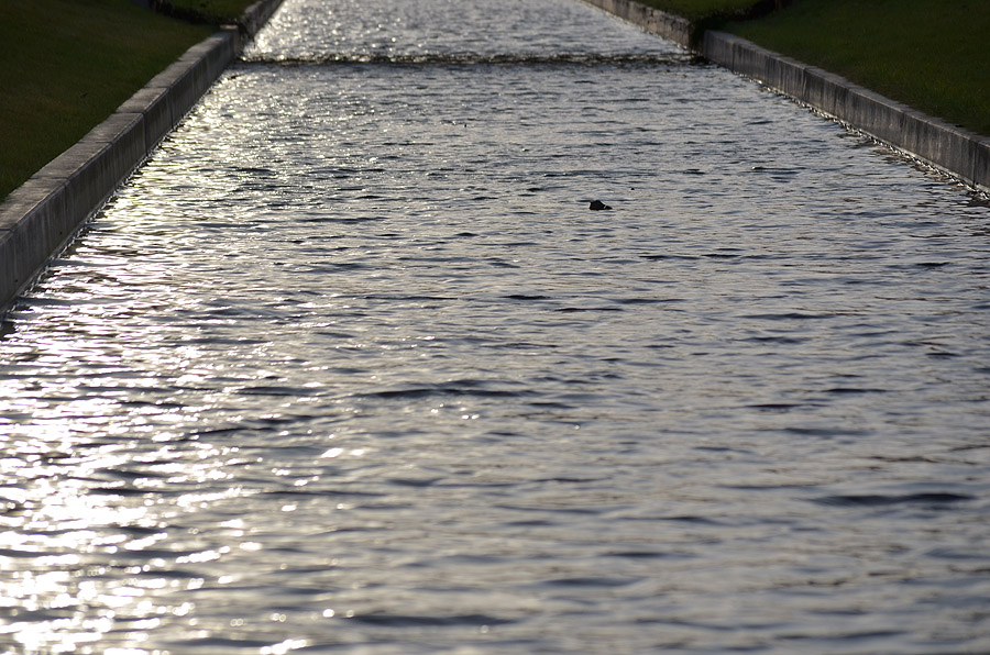 Schlosspark 2011 12 29 29