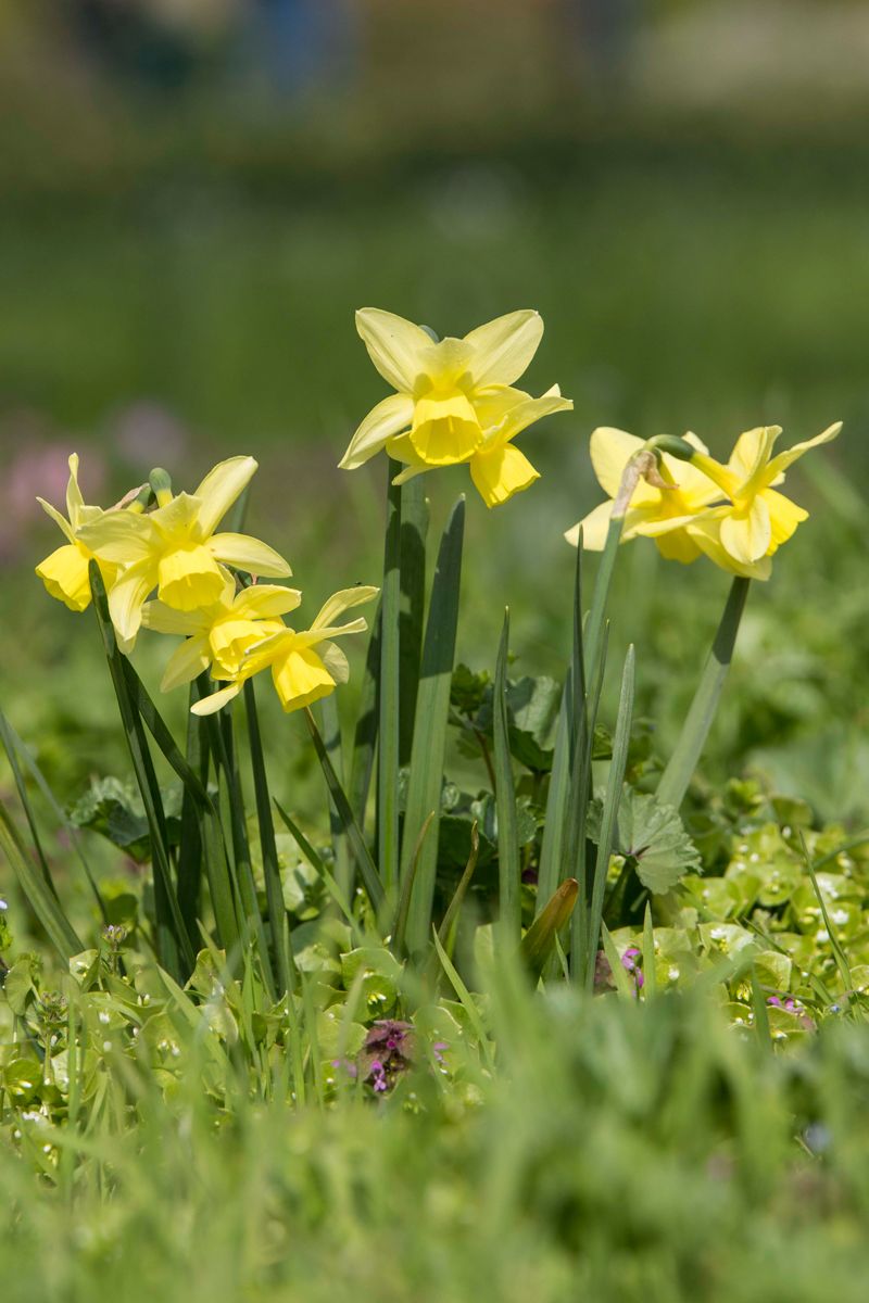 Schlosspark-27.jpg