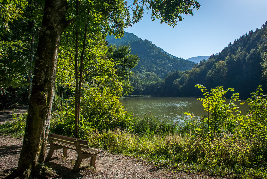 Schlossweiher Hohenburg
