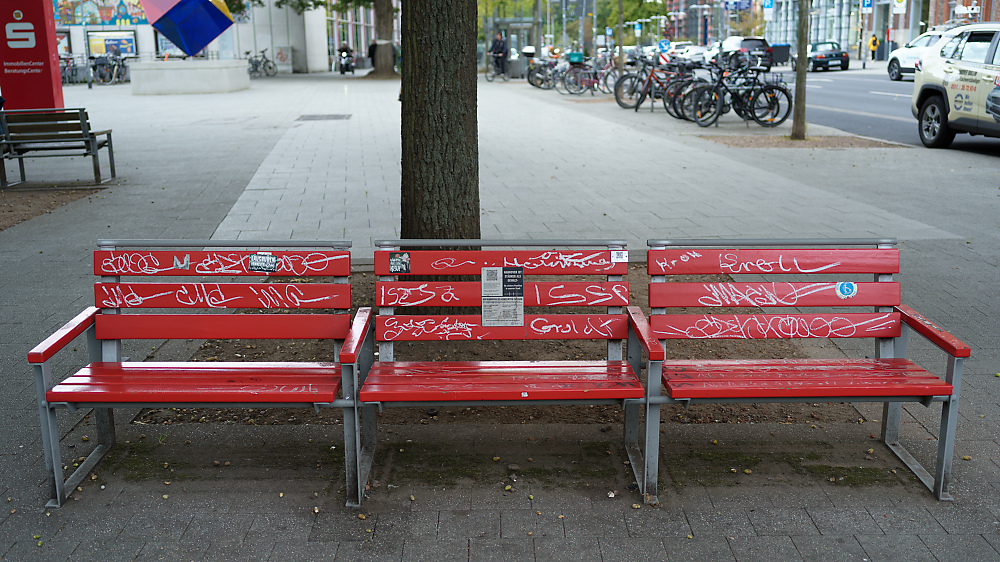 Schmierfinkenbank.jpg