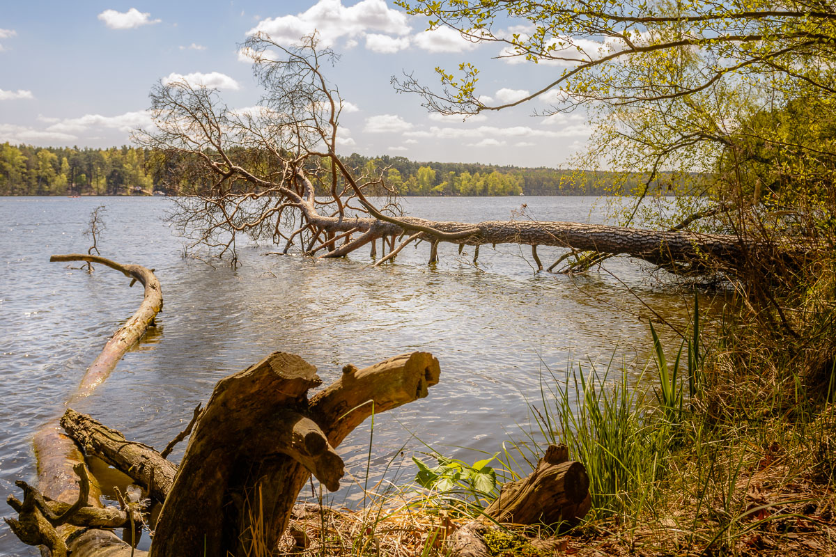 Schmoldesee