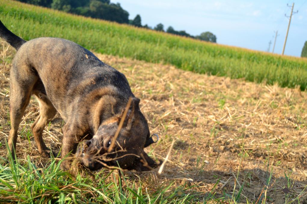 Schnappschuss auf dem Spaziergang