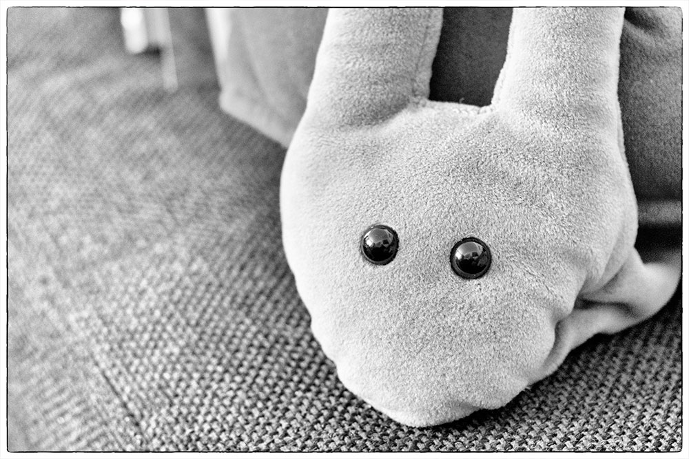 Schnecke