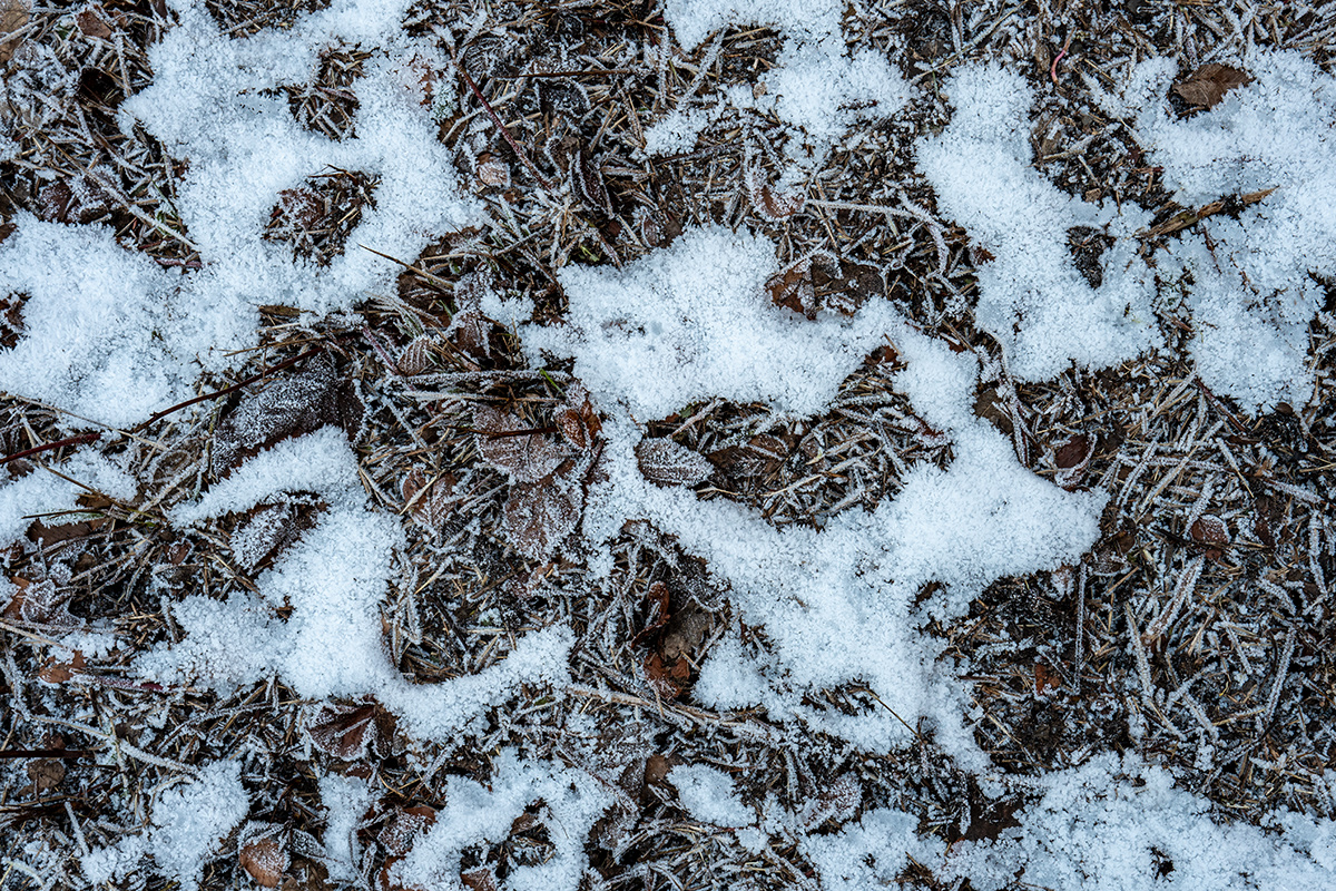 Schnee.jpg