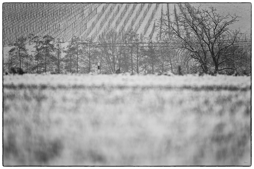 Schnee PZ14843