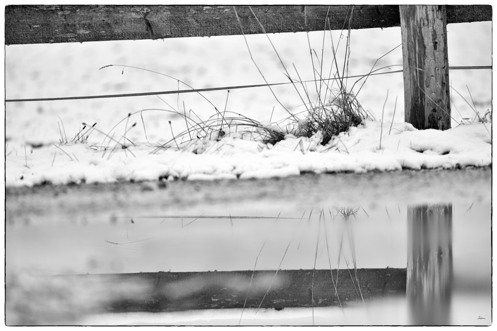 Schnee PZ14852