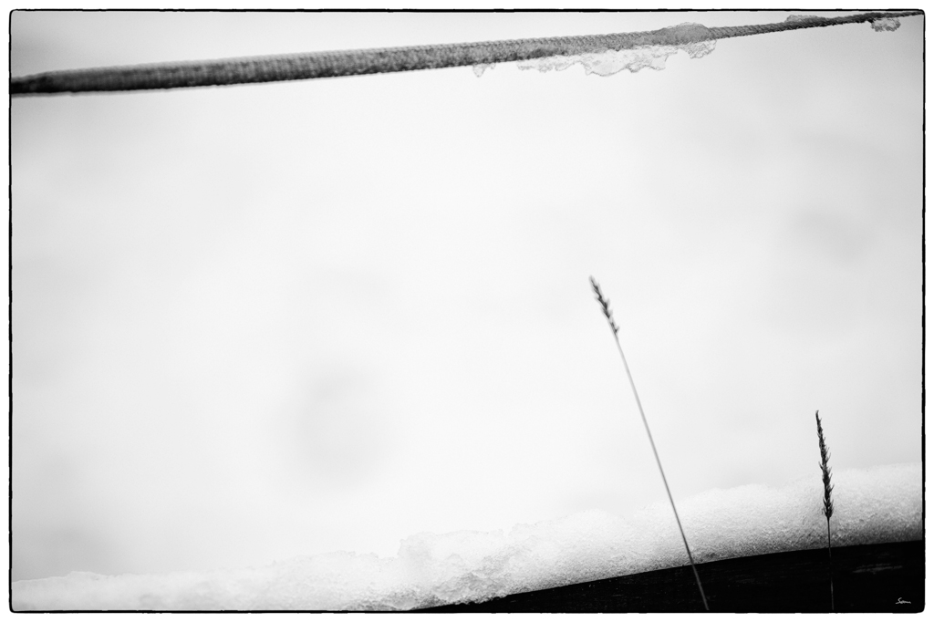 Schnee PZ14853