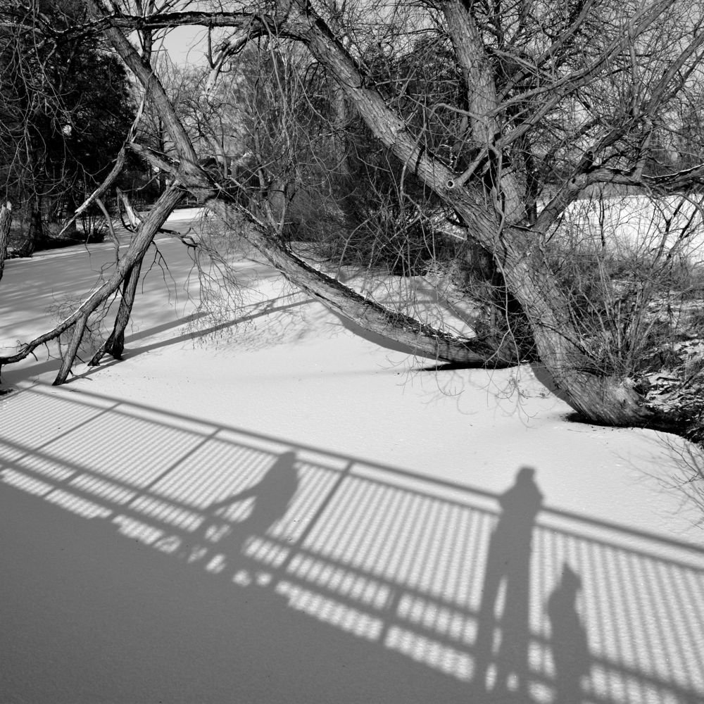schnee sw