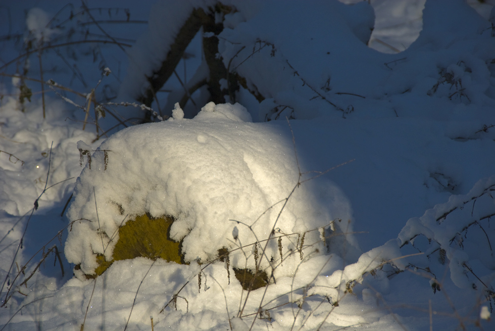 Schnee